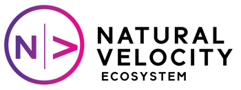 NV Vector Logo_CM-03 NV Vector Logo_CM-03